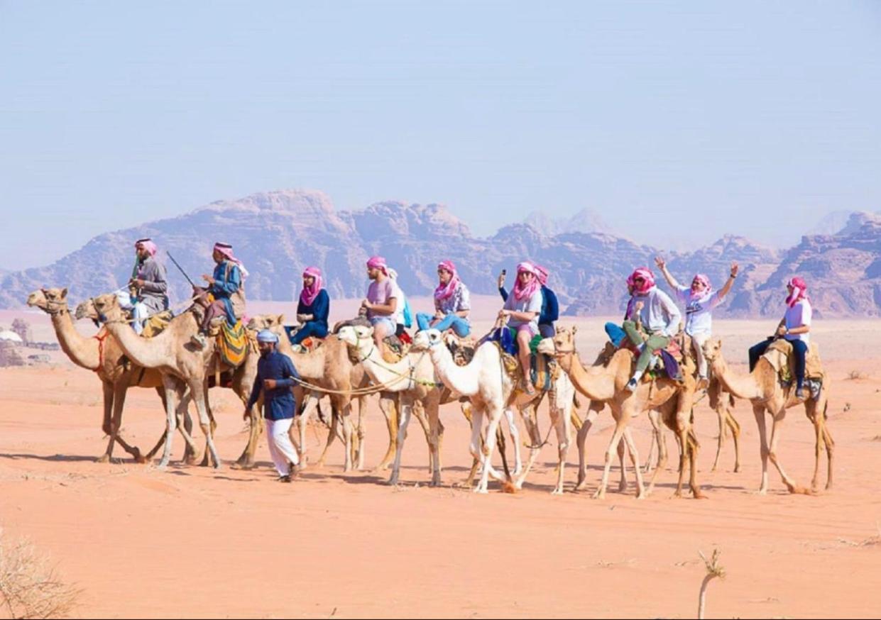 Bedouin Culture Camp Wadi Rum Exteriör bild