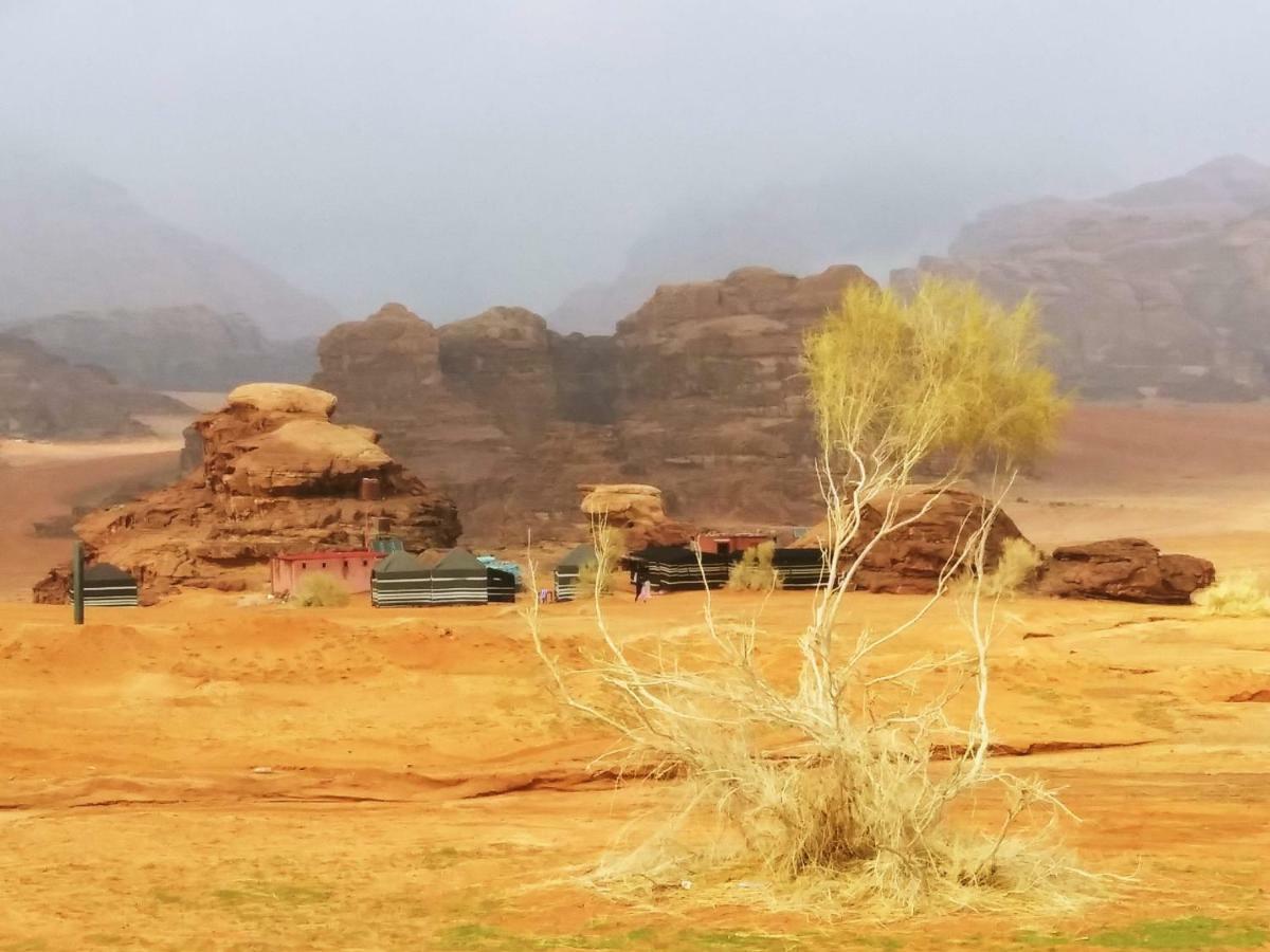 Bedouin Culture Camp Wadi Rum Exteriör bild